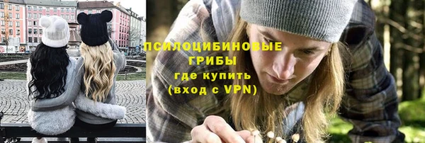 шишки Алзамай