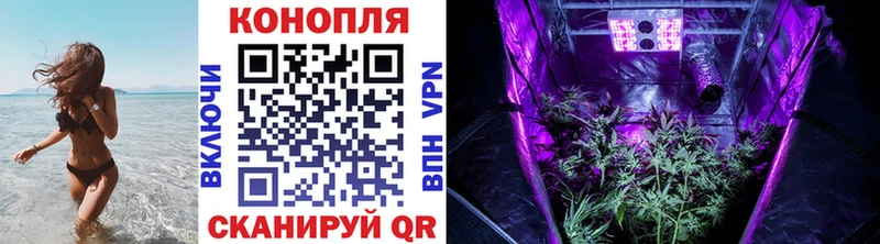 купить наркоту Каменка Каннабис OG Kush